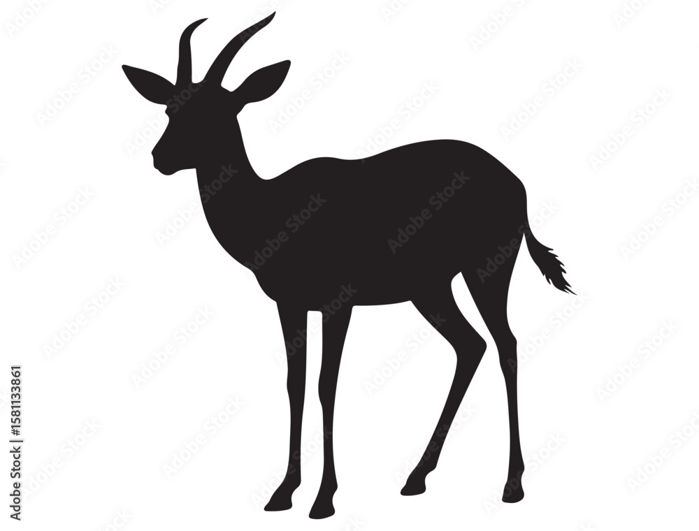 Fototapeta premium GAZELLE SILHOUETTE