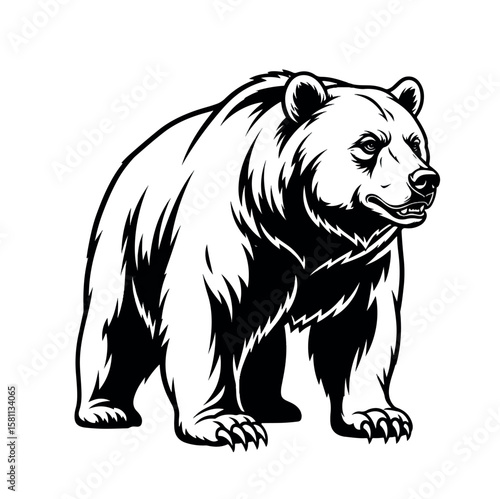 wild, wildlife, brown bear, fur, big, animal, nature, wilderness, brown, fauna, mammal, large, bear, predator, european, ursus arctos, dangerous, carnivore, natural, cute, forest, tree, danger, 