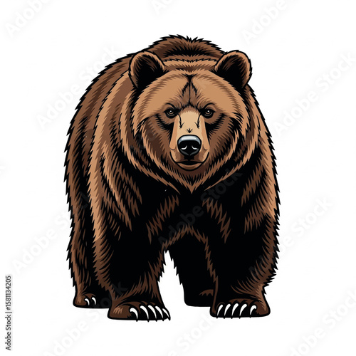 wild, wildlife, brown bear, fur, big, animal, nature, wilderness, brown, fauna, mammal, large, bear, predator, european, ursus arctos, dangerous, carnivore, natural, cute, forest, tree, danger, 