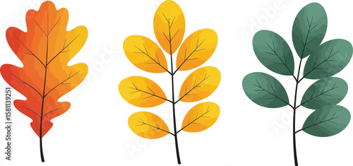 Colorful autumn foliage displaying different leaf shapes and seasonal hues.