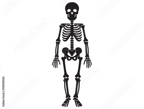 HUMAN SKELETON SILHOUETTE