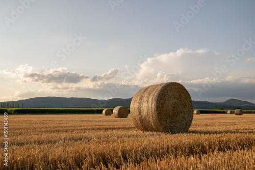 Straw bales on mowed agricultural field at sunset in landscape format.