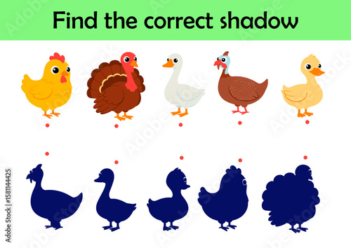 Cartoon farm animals. Find the correct shadow. Educational matching game for children. Cartoon vector illustration