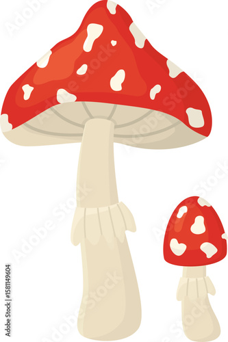 Fly agaric mushroom isolated on transparent background.  Hand drawn illustration of red and white toadstool 