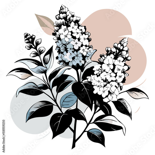 Lilac flowers with leaves in black and white illustration style  