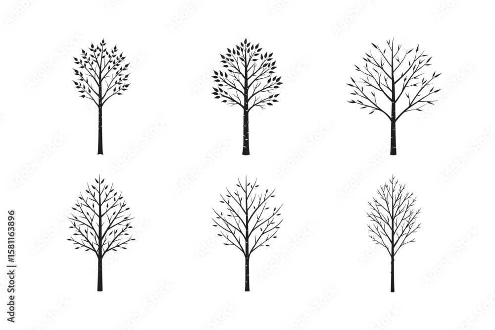 Fototapeta premium silhouette birch tree set bundle on white background
