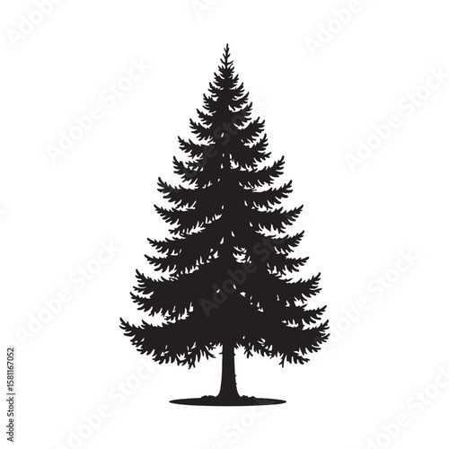 Pine tree silhouette. Vector illustration. Christmas trees vector, isolated vector image