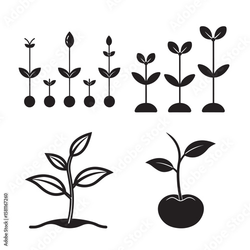 silhouette seed plant growing set bundle