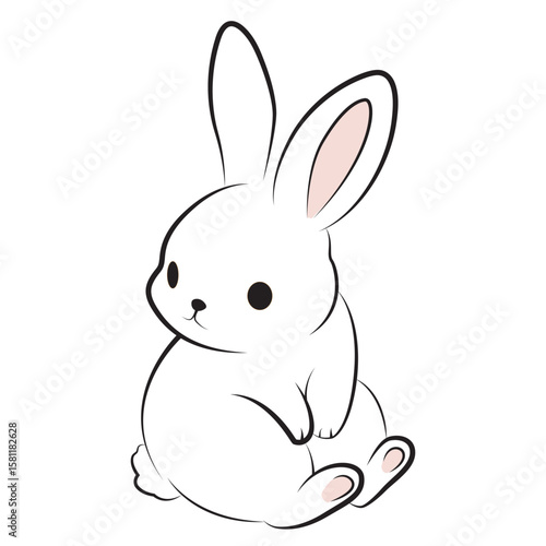 Cute Rabbit Cector