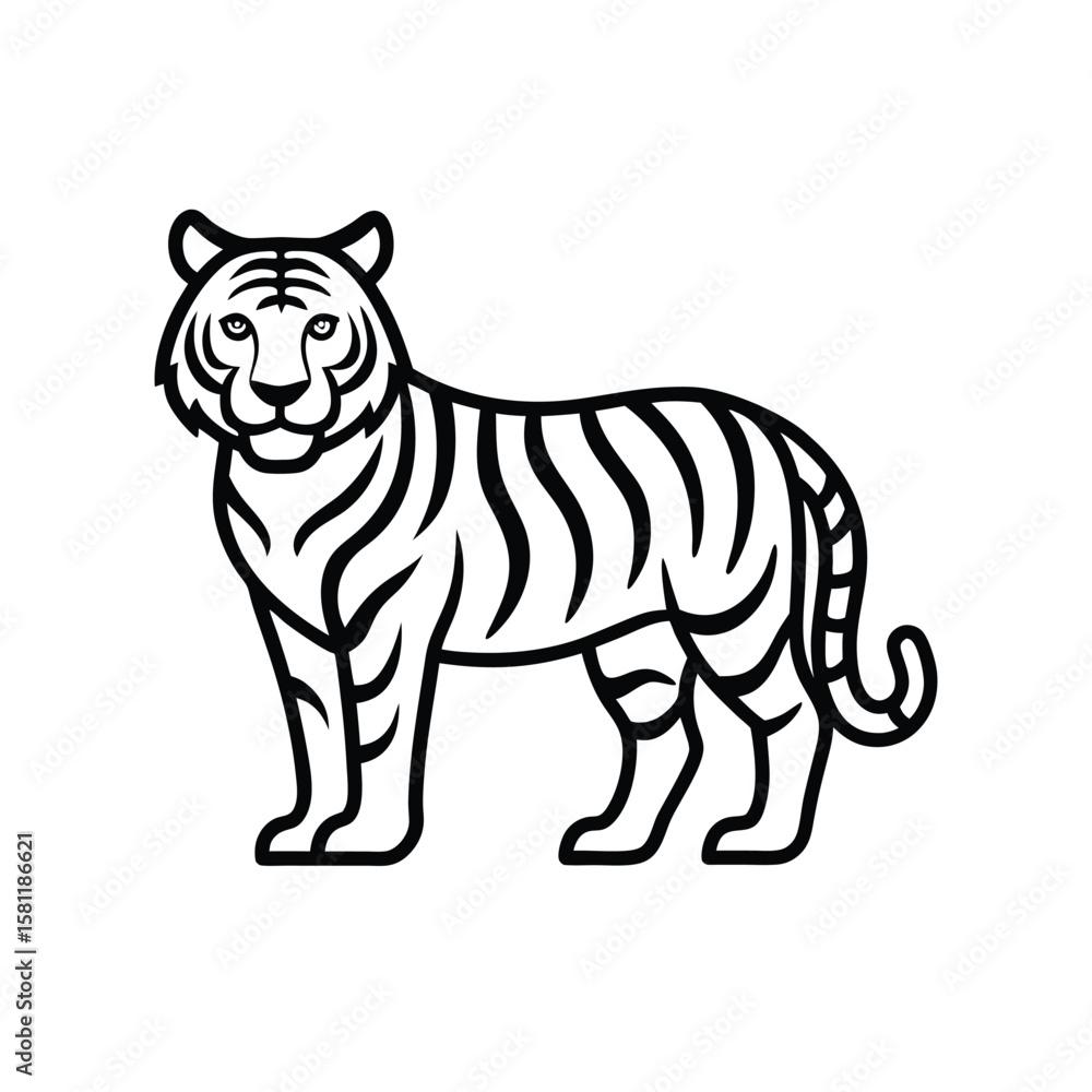 Fototapeta premium vector illustration of a tiger