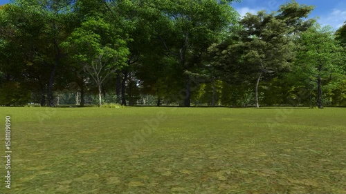 Lush grassy field with trees in bright daylight, ideal for backgrounds.