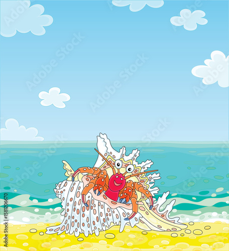 Funny hermit crab in a fanc...