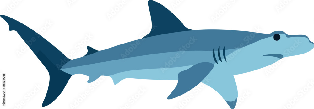 Obraz premium Hammerhead shark vector illustration in blue shades swimming underwater ocean animal design