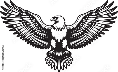 Majestic Eagle Wings Spread Wide A Powerful Symbol of Freedom and Strength