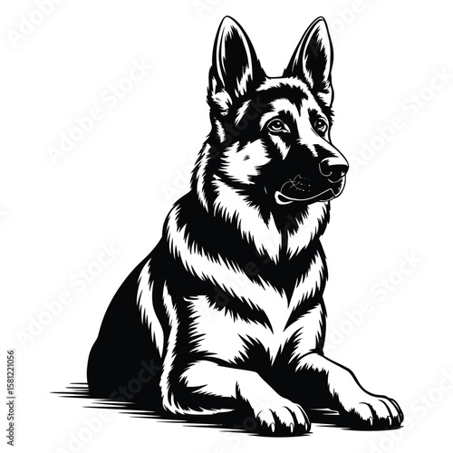 Silhouette vector of sitting German Shepherd in obedient pose with alert ears, isolated black and white