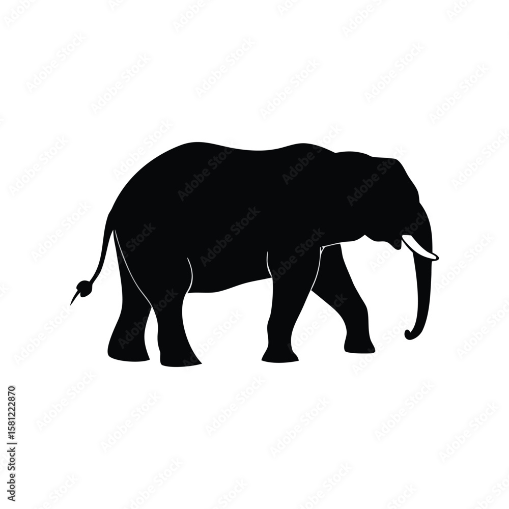 Fototapeta premium silhouette of elephant