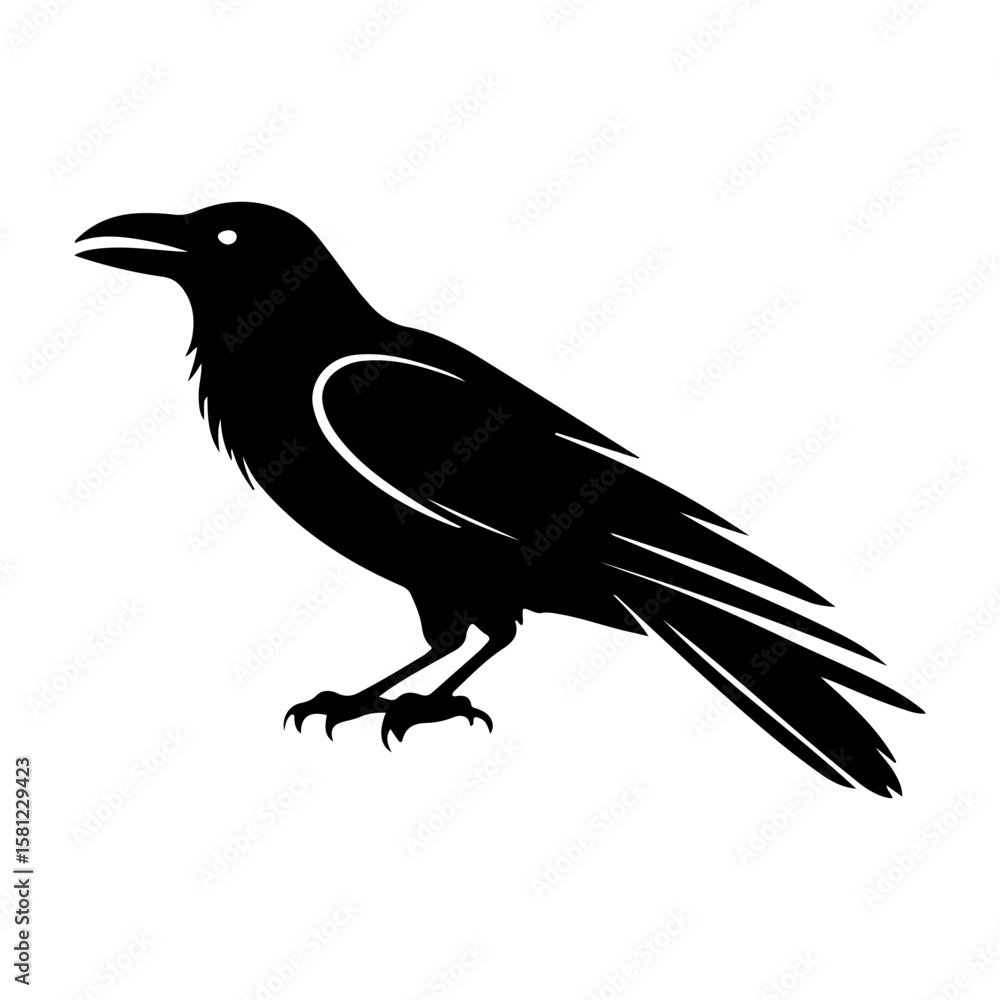 Obraz premium Stylized Raven Crow Bird Vector Illustration