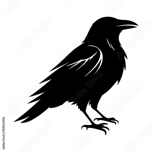 Stylized Raven Crow Bird Vector Illustration