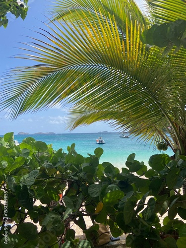 View of St. Barths Bay under Palm Fronds