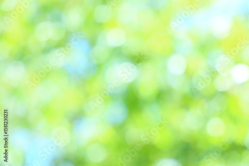 山桜の若葉のアウトフォーカス