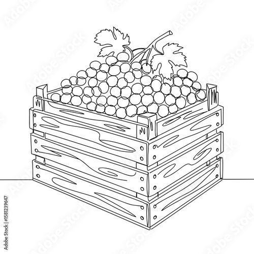 Wooden crate of freshly picked grapes isolated on transparent background  