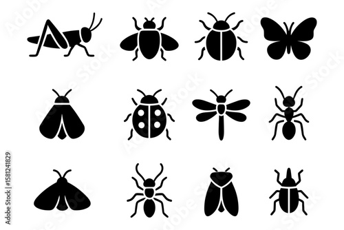 Silhouette insect icons collection: bugs, beetles, and butterflies in black design