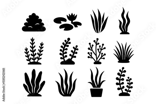 Silhouette set of aquatic and terrestrial plant icons for design projects