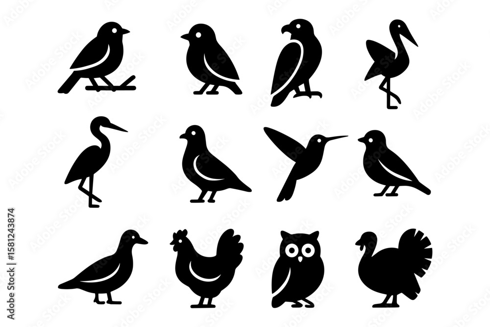 Obraz premium Silhouette collection of various birds: stylized avian icons for design