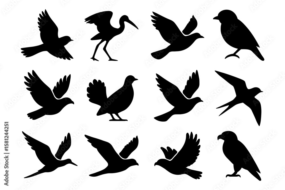 Obraz premium Bird silhouettes: diverse flying and perching shapes for design projects