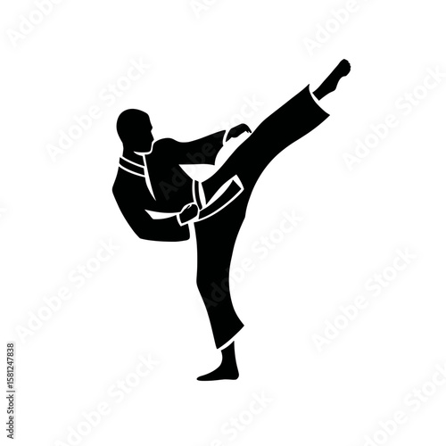 Silhouette of a martial artist in a side kick position against a light background. Motion and power displayed, vector.
