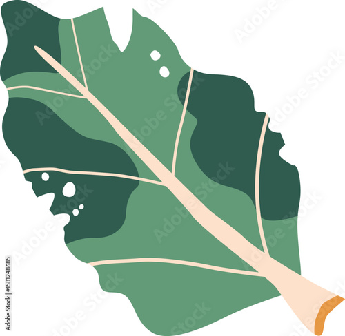 Spoiled cabbage leaf vector illustration