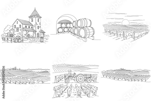 Set of vineyard and winery scenes in sketch style on transparent background 