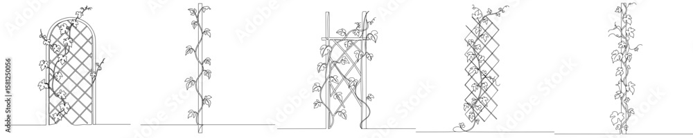 Fototapeta premium Vine growing on trellis with multiple designs isolated on transparent background 