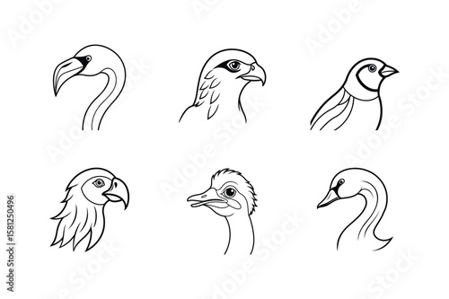 Bird head line art set. swan, ostrich, macaw, lark, hawk and flamingo bird vector illustration.