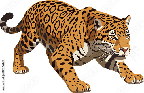 Stalking Jaguar (Panthera onca): Vector Illustration of a Stealthy Feline Ready to Pounce