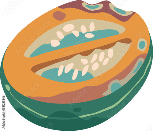 Spoiled mouldy melon fruit vector illustration