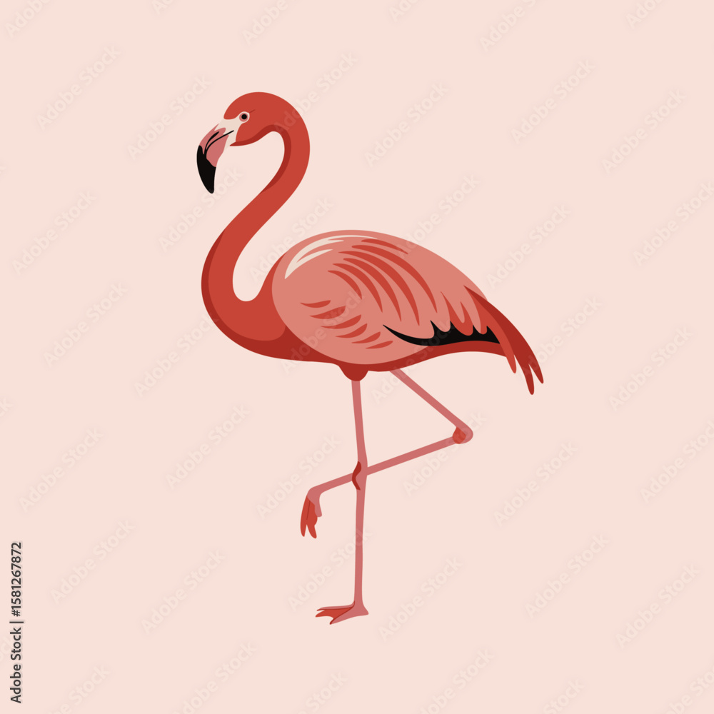 Fototapeta premium Flamingo vector illustration, Pink flamingo on white background