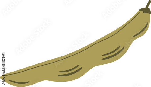 Green asparagus beans in pod