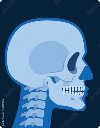 Skull x-ray side view vector illustration
