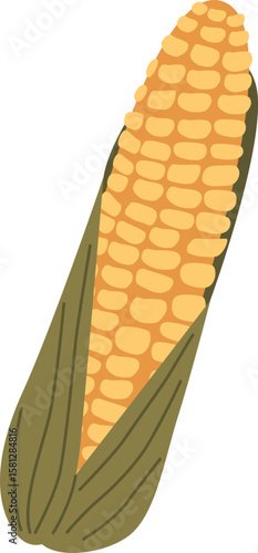 Sweet corn cob vegetable vector illustration