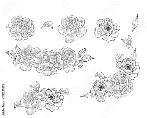 Hand Drawn Vintage Rose Set for wedding invitation
