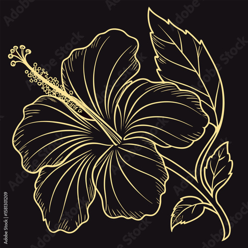 Elegant gold hibiscus petal outlines vector illustration on a black background