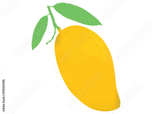   yellow mango illustration vector leaf
