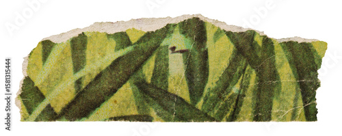 Stripe of old vintage green paper with floral print, torn page from retro children's book