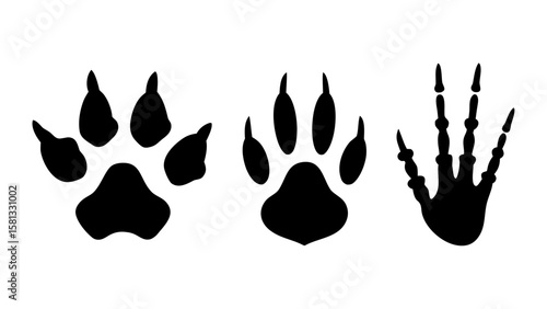 Animal Tracks and Paw Print Silhouettes PNG – Transparent Wildlife Footprints Clipart