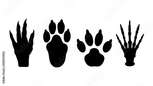 Animal Tracks and Paw Print Silhouettes PNG – Transparent Wildlife Footprints Clipart