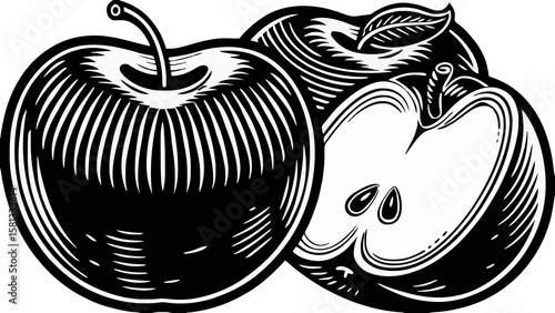 Illustration of three apples with one cut in half revealing seeds in a black and white woodcut style art