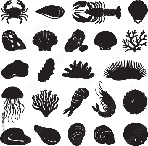 Crab lobster mussel oyster scallop jellyfish shrimp coral anemone sea urchin shells vector