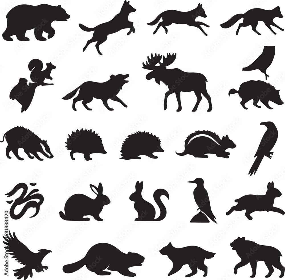 Fototapeta premium Diverse collection of wild animal silhouettes bear wolf