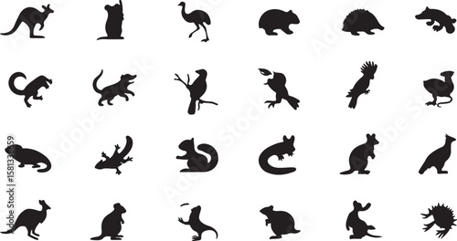 Kangaroo emu wombat echidna platypus lizard bird squirrel vector